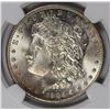 Image 2 : 1904-O MORGAN SILVER DOLLAR NGC MS 65