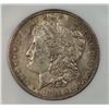 Image 2 : 1884-S MORGAN SILVER DOLLAR PNA