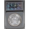 Image 4 : 2000 AMERICAN SILVER EAGLE NGP