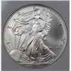 Image 2 : 2001 AMERICAN SILVER EAGLE NGP