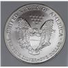 Image 3 : 2001 AMERICAN SILVER EAGLE NGP