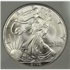 Image 2 : 2002 AMERICAN SILVER EAGLE NGP