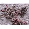 Image 2 : CHAINS (W/HOOKS) *APPROX 20'* (QTY 2)