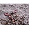 Image 2 : CHAINS (W/HOOKS) *APPROX 20'* (2 ARE COMPLETE) *QTY 3*