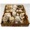 Image 1 : TWO FLATS OF HAND MADE SHELL DECORATIONS