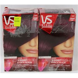 BUNDLE OF TWO HAIR COLOURS