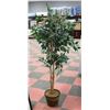 Image 1 : SHOWHOME 6' ARTIFICIAL PLANT