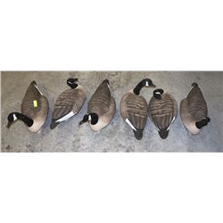 GROUP OF 6 DUCK DECOYS
