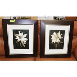 SET OF 2 FRAMED PRINTS "ORCHIDS" 27"X22.5"
