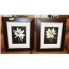 Image 1 : SET OF 2 FRAMED PRINTS "ORCHIDS" 27"X22.5"