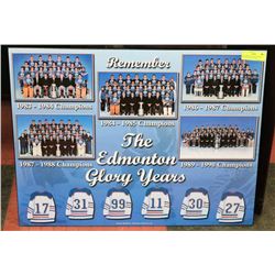 THE EDMONTON GLORY YEARS, OILERS PICTURE. 28"X 22"