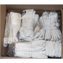 BOX OF 2 FINGER GLOVE LINERS