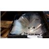 Image 2 : BLACK CRATE OF CLEAR BAGS