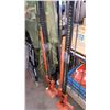 Image 1 : TWO ORANGE JACKALLS