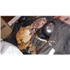Image 1 : LARGE BAG OF BASEBALL GEAR