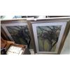 Image 1 : TWO FOREST SCENE PRINTS