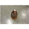 Image 2 : EAGLE WOOD CARVING