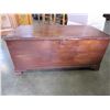 Image 3 : CEDAR TRUNK