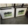 Image 1 : TWO FOREST SCENE PRINTS
