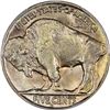 Image 4 : 1937-D MS-67 PCGS.