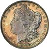 Image 5 : 1878 8 Tailfeathers. Proof-63 PCGS.