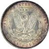 Image 4 : 1889 VAM-Uncertain. Genuine – Cleaned – Uncirculated Details PCGS.