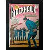 Image 1 : BLACKHAWK #196 (DC COMICS)