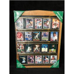TRADING CARD DISPLAY CASE 16" X 20"