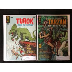 VINTAGE GOLD KEY COMIC BOOK LOT (TUROK/ TARZAN)