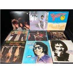 VINYL RECORD LOT (POINTER SISTERS/ ROY ORBISON...)