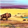 Image 2 : Where the Buffalo... by Katon, Martin