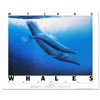 Image 1 : Blue Whales by Wyland