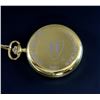 Image 2 : Harry Potter and the Philosophers Stone (2001) A pocket watch gifted to both the cast and production