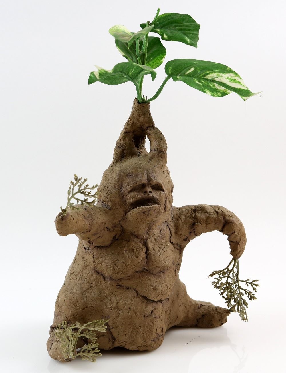 Harry Potter and the Chamber of Secrets (2002) - Mandrake plant from the movie starring Daniel Radcl