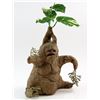 Image 1 : Harry Potter and the Chamber of Secrets (2002) - Mandrake plant from the movie starring Daniel Radcl