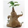 Image 2 : Harry Potter and the Chamber of Secrets (2002) - Mandrake plant from the movie starring Daniel Radcl