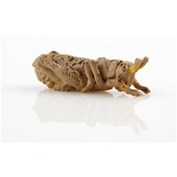 The Mummy (1999) - Production made prosthetic locust from the movie starring Brendan Fraser and Rach