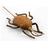 Image 2 : Terra Nova (American sci-fi drama series, 2011) - Two production used campfire bug props..