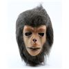 Image 1 : Planet of the Apes - Prosthetic ape mask from the series..