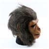 Image 2 : Planet of the Apes - Prosthetic ape mask from the series..