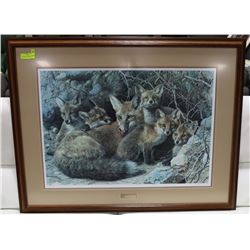 FOX FAMILY CARL BRENDERS FRAMED MATTED PRINT WITH COA,