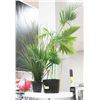 Image 1 : LOT OF 2 ARTIFICAL PLANTS