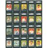 Image 1 : 1934 Goudey SGC Fully Graded Complete Set (96)