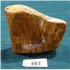 Image 1 : PETRIFIED MAMMOTH BONE