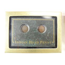 1901 & 1903 INDIAN HEAD CENTS IN NICE BOX WITH