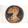 Image 1 : 1995 PROOF AMERICAN SILVER EAGLE NICE OBV. TONING