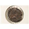 Image 2 : 351-352 A.D. CONSTANTIUS GALLUS ANCIENT COIN