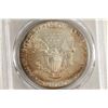 Image 2 : 1991 AMERICAN SILVER EAGLE PCGS MS69 NICE