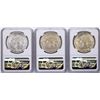 Image 2 : Lot of (3) 1978Mo Doubled Die Reverse Mexico 100 Pesos Silver Coins NGC MS61/62/