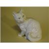 Image 1 : 1 White Cat    